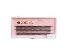 Вії пучкові ZIDIA Cluster Lashes 12D C 0,10*9 мм, 3 стрічкиВії пучкові ZIDIA Cluster Lashes 12D C 0,10*9 мм, 3 стрічки