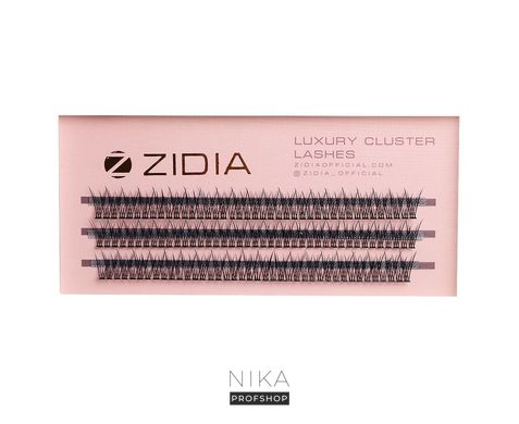 Ресницы пучковые ZIDIA Cluster Lashes 12D C 0,10*9 мм, 3 лентыРесницы пучковые ZIDIA Cluster Lashes 12D C 0,10*9 мм, 3 ленты