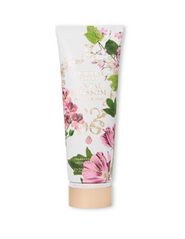 Лосьон парфумований Victoria' s Secret Santal Blossom 236 млЛосьон парфумований Victoria' s Secret Santal Blossom 236 мл