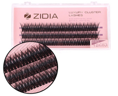 Вії пучкові ZIDIA Cluster Lashes 24D C 0,10*12 мм, 3 стрічкиВії пучкові ZIDIA Cluster Lashes 24D C 0,10*12 мм, 3 стрічки
