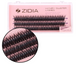 Вії пучкові ZIDIA Cluster Lashes 24D C 0,10*12 мм, 3 стрічкиВії пучкові ZIDIA Cluster Lashes 24D C 0,10*12 мм, 3 стрічки