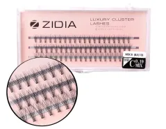 Вії пучкові ZIDIA Cluster Lashes 10D C 0,10 MIX S 8 9 10 мм, 3 стрічкиВії пучкові ZIDIA Cluster Lashes 10D C 0,10 MIX S 8 9 10 мм, 3 стрічки