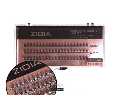 Вії пучкові ZIDIA Cluster Lashes 20D Flame Series MIX S C 0,10*8,9,10 мм, 3 стрічкиВії пучкові ZIDIA Cluster Lashes 20D Flame Series MIX S C 0,10*8,9,10 мм, 3 стрічки