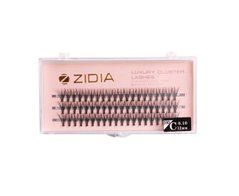 Вії пучкові ZIDIA 20D C 0,10х12 mm, 3 стрічки Cluster lashesВії пучкові ZIDIA 20D C 0,10х12 mm, 3 стрічки Cluster lashes
