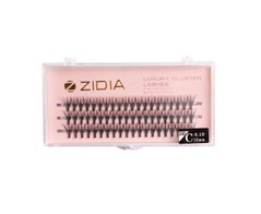 Ресницы пучковые ZIDIA 20D C 0,10х12 mm, 3 ленты Cluster lashesРесницы пучковые ZIDIA 20D C 0,10х12 mm, 3 ленты Cluster lashes