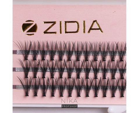Вії пучкові ZIDIA 20D C 0,10х12 mm, 3 стрічки Cluster lashesВії пучкові ZIDIA 20D C 0,10х12 mm, 3 стрічки Cluster lashes