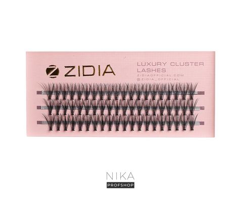 Вії пучкові ZIDIA 20D C 0,10х12 mm, 3 стрічки Cluster lashesВії пучкові ZIDIA 20D C 0,10х12 mm, 3 стрічки Cluster lashes