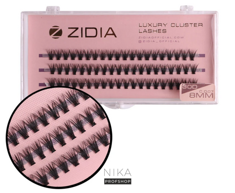 Вії пучкові ZIDIA Cluster Lashes 30D C 0,07*8 мм, 3 стрічкиВії пучкові ZIDIA Cluster Lashes 30D C 0,07*8 мм, 3 стрічки