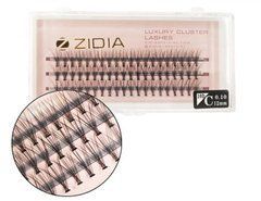 Вії пучкові ZIDIA Cluster Lashes 10D C 0,10*12 мм, 3 стрічкиВії пучкові ZIDIA Cluster Lashes 10D C 0,10*12 мм, 3 стрічки