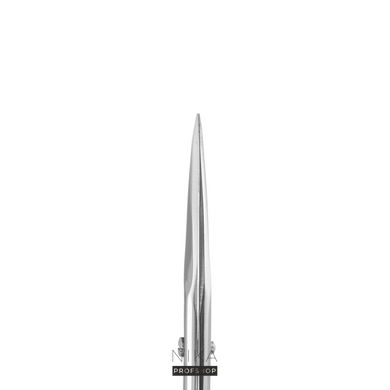 Ножиці універсальні прямі Staleks CLASSIC 30 TYPE 1 (24 мм) SC-30/1Ножиці універсальні прямі Staleks CLASSIC 30 TYPE 1 (24 мм) SC-30/1