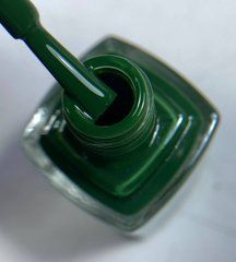 Лак для стемпінгу VAKULA Nails №19 зелений 12 млЛак для стемпінгу VAKULA Nails №19 зелений 12 мл