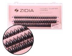 Вії пучкові ZIDIA Cluster Lashes 24D MIX S C 0,10*8 9 10 мм, 3 стрічкиВії пучкові ZIDIA Cluster Lashes 24D MIX S C 0,10*8 9 10 мм, 3 стрічки