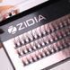 Вії пучкові ZIDIA Cluster Lashes 20D Flame Series C 0,10*10 мм, 3 стрічкиВії пучкові ZIDIA Cluster Lashes 20D Flame Series C 0,10*10 мм, 3 стрічки
