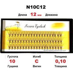 Вії накладні Nesura QSTY 10D 12 мм вигин C 0.10, 60 пучківВії накладні Nesura QSTY 10D 12 мм вигин C 0.10, 60 пучків