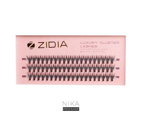 Вії пучкові ZIDIA Cluster Lashes 20D C 0,10*10 мм, 3 стрічкиВії пучкові ZIDIA Cluster Lashes 20D C 0,10*10 мм, 3 стрічки