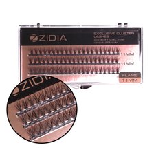Вії пучкові ZIDIA Cluster Lashes 20D Flame Series C 0,10*11 мм, 3 стрічкиВії пучкові ZIDIA Cluster Lashes 20D Flame Series C 0,10*11 мм, 3 стрічки