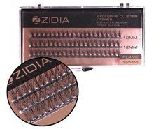 Вії пучкові ZIDIA Cluster Lashes 20D Flame Series C 0,10*12 мм, 3 стрічкиВії пучкові ZIDIA Cluster Lashes 20D Flame Series C 0,10*12 мм, 3 стрічки