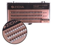 Вії пучкові ZIDIA Cluster Lashes 20D Flame Series C 0,10*8 мм, 3 стрічкиВії пучкові ZIDIA Cluster Lashes 20D Flame Series C 0,10*8 мм, 3 стрічки