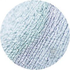 Пігмент SINART 100 SILVER