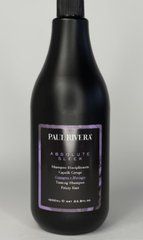 Шампунь против пушистости Paul Rivera Absolute Sleek Shampoo 350 млШампунь против пушистости Paul Rivera Absolute Sleek Shampoo 350 мл