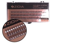 Вії пучкові ZIDIA Cluster Lashes 20D Flame Series MIX C 0,10*8,10,12 мм, 3 стрічкиВії пучкові ZIDIA Cluster Lashes 20D Flame Series MIX C 0,10*8,10,12 мм, 3 стрічки