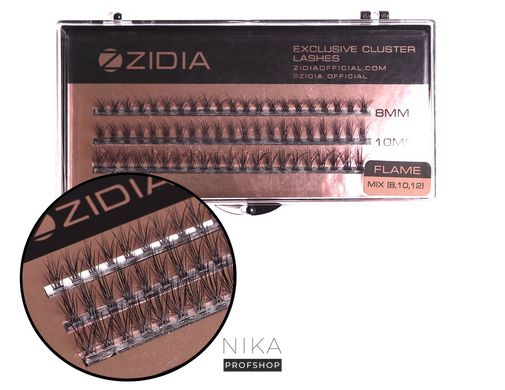 Вії пучкові ZIDIA Cluster Lashes 20D Flame Series MIX C 0,10*8,10,12 мм, 3 стрічкиВії пучкові ZIDIA Cluster Lashes 20D Flame Series MIX C 0,10*8,10,12 мм, 3 стрічки