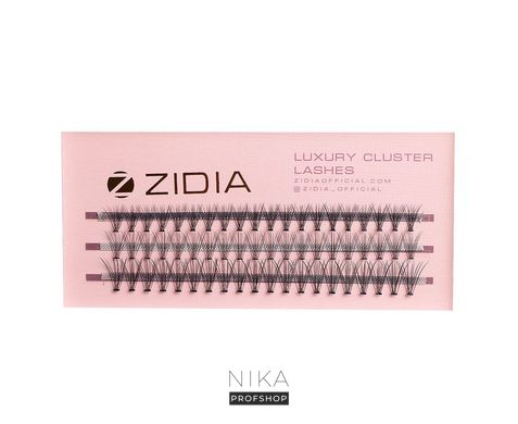 Ресницы пучковые ZIDIA Cluster Lashes 10D C 0,10*8 мм, 3 лентыРесницы пучковые ZIDIA Cluster Lashes 10D C 0,10*8 мм, 3 ленты
