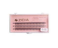 Вії пучкові ZIDIA Cluster Lashes 10D MIX C 0,10* 8 10 12 мм, 3 стрічкиВії пучкові ZIDIA Cluster Lashes 10D MIX C 0,10* 8 10 12 мм, 3 стрічки