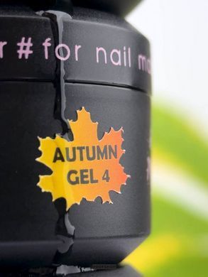 Гель для ногтей Miss Luna Premium Autumn Gel №04 15 млГель для ногтей Miss Luna Premium Autumn Gel №04 15 мл