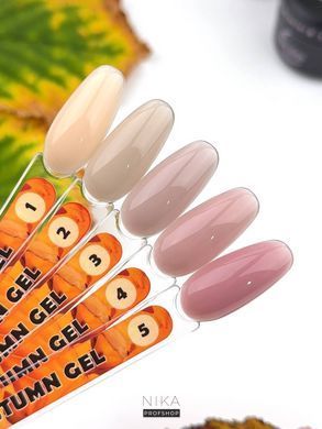 Гель для ногтей Miss Luna Premium Autumn Gel №04 15 млГель для ногтей Miss Luna Premium Autumn Gel №04 15 мл