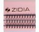 Ресницы пучковые ZIDIA Cluster Lashes 10D MIX C 0,10*8 10 12 мм, 3 лентыРесницы пучковые ZIDIA Cluster Lashes 10D MIX C 0,10*8 10 12 мм, 3 ленты