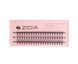 Ресницы пучковые ZIDIA Cluster Lashes 10D MIX C 0,10*8 10 12 мм, 3 лентыРесницы пучковые ZIDIA Cluster Lashes 10D MIX C 0,10*8 10 12 мм, 3 ленты