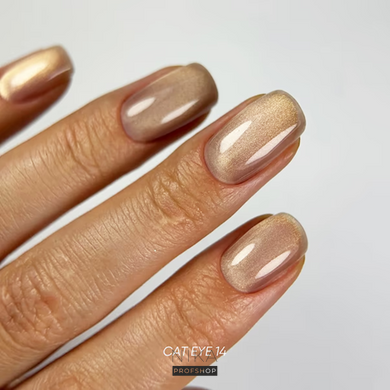 Гель-лак для нігтів DARK Gel Polish Cat Eye 14, 6 млГель-лак для нігтів DARK Gel Polish Cat Eye 14, 6 мл