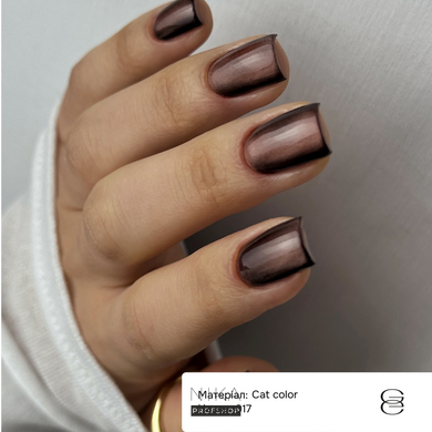 Гель-лак для нігтів GEMELY ex GA&MA Cat Color 017/ Кет Колор 017, 6 млГель-лак для нігтів GEMELY ex GA&MA Cat Color 017/ Кет Колор 017, 6 мл