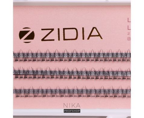 Вії пучкові ZIDIA Cluster Lashes 12D C 0,10*6 мм, 3 стрічкиВії пучкові ZIDIA Cluster Lashes 12D C 0,10*6 мм, 3 стрічки
