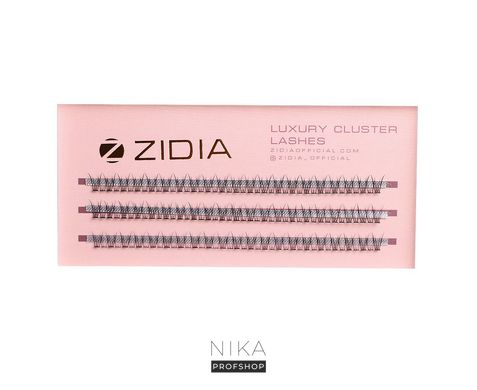 Ресницы пучковые ZIDIA Cluster Lashes 12D C 0,10*6 мм, 3 лентыРесницы пучковые ZIDIA Cluster Lashes 12D C 0,10*6 мм, 3 ленты