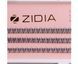 Вії пучкові ZIDIA Cluster Lashes 12D C 0,10*6 мм, 3 стрічкиВії пучкові ZIDIA Cluster Lashes 12D C 0,10*6 мм, 3 стрічки