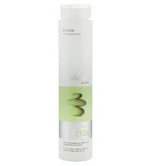 Шампунь против жирных волос ERAYBA Z12 b Cleansing Shampoo 250 млШампунь против жирных волос ERAYBA Z12 b Cleansing Shampoo 250 мл