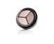 Тени для век PAESE Тройные Матовые Люкс (217) Triple Eyeshadows Trio Matt 3,6г, 3.6
