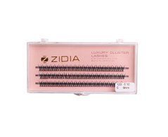 Вії пучкові ZIDIA Cluster Lashes 12D C 0,10*8 мм, 3 стрічкиВії пучкові ZIDIA Cluster Lashes 12D C 0,10*8 мм, 3 стрічки