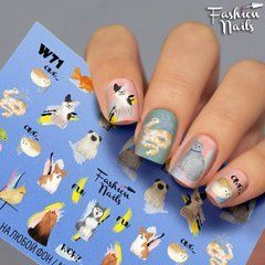 Слайдер для ногтей CHIC NAILS W 71Слайдер для ногтей CHIC NAILS W 71