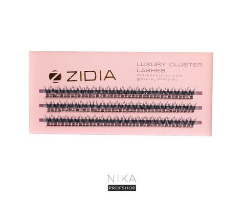 Вії пучкові ZIDIA Cluster Lashes 12D C 0,10*8 мм, 3 стрічкиВії пучкові ZIDIA Cluster Lashes 12D C 0,10*8 мм, 3 стрічки