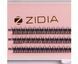 Вії пучкові ZIDIA Cluster Lashes 12D C 0,10*8 мм, 3 стрічкиВії пучкові ZIDIA Cluster Lashes 12D C 0,10*8 мм, 3 стрічки